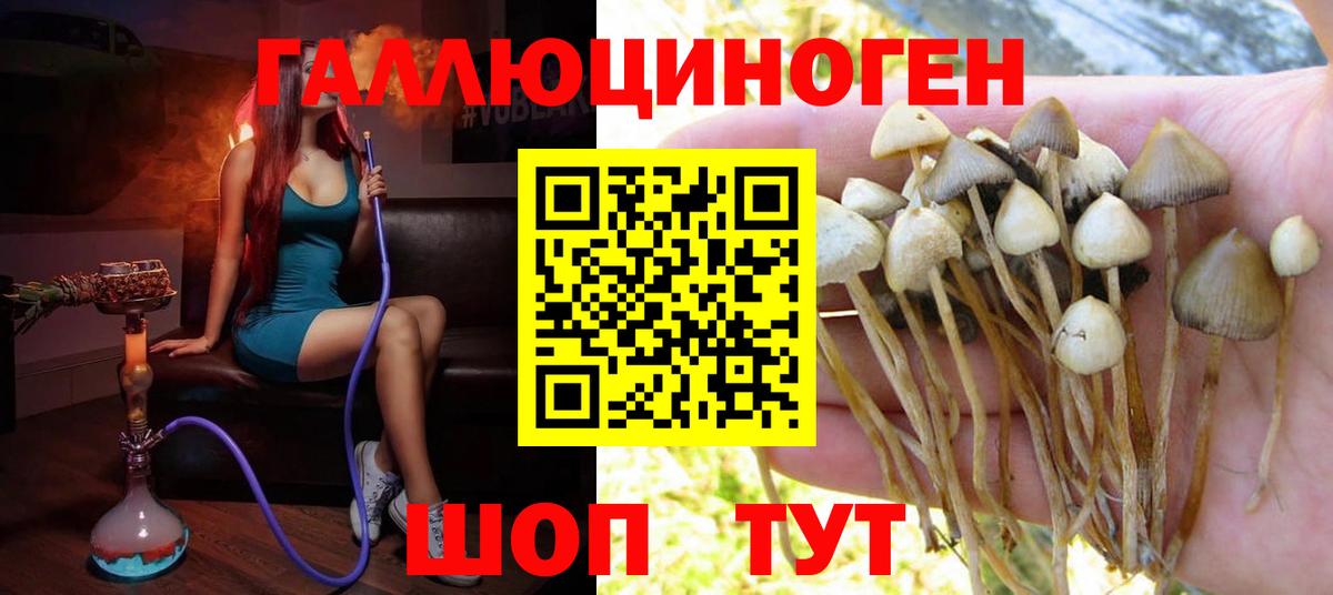 Светлоград  Псилоцибиновые грибы мухоморы  Галлюциногенные грибы Psilocybine cubensis  Вход с VPN 
